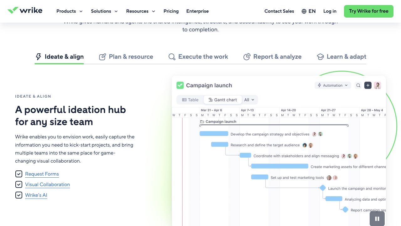 Wrike campaign planning workflow